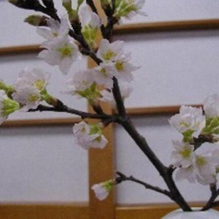 Wakaba Ryokan / Vacation Stay 29370 酒田市 外观 照片